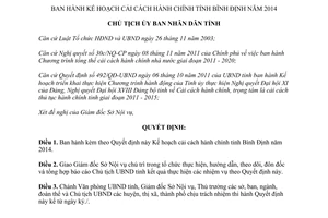 Quyết định 3933/QĐ-UBND 2013 Kế hoạch cải cách hành chính Bình Định 2014