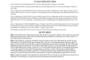 Quyết định 45/2013/QĐ-UBND chính sách người không chuyên trách Bình Định