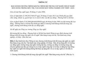 Thông tư 44/2013/TT-BLĐTBXH khung trình độ trung cấp nghề Bán hàng Vận hành máy Cốt thép Hàn