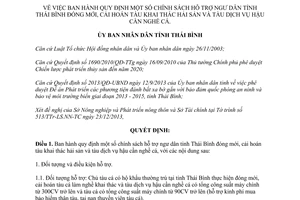 Quyết định 3044/QĐ-UBND năm 2013 hỗ trợ ngư dân Thái Bình đóng mới cải hoán tàu nghề cá