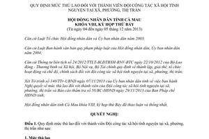 Nghị quyết 17/2013/NQ-HĐND thù lao thành viên Đội công tác xã hội tình nguyện Cà Mau