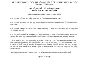 Nghị quyết 22/2013/NQ-HĐND tuyển chọn trí thức trẻ công tác ở xã phường thị trấn Cà Mau