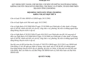 Nghị quyết 87/2013/NQ-HĐND chế độ phụ cấp người hoạt động không chuyên xã phường Lâm Đồng