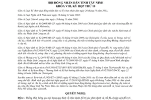 Nghị quyết 44/2013/NQ-HĐND chức danh chế độ chính sách người hoạt động không chuyên trách Tây Ninh