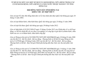 Nghị quyết 102/2013/NQ-HĐND bổ sung mức giá dịch vụ khám chữa bệnh Nhà nước Đồng Nai