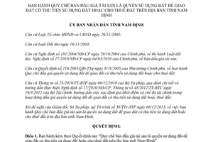 Quyết định 39/2013/QĐ-UBND Quy chế bán đấu giá tài sản quyền sử dụng đất để giao đất thu tiền Tỉnh Nam Định