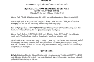 Nghị quyết 32/2013/NQ-HĐND bổ sung Quỹ tên đường Hồ Chí Minh