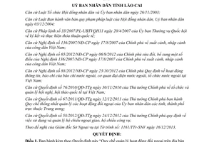 Quyết định 02/2014/QĐ-UBND Quy chế quản lý hoạt động đối ngoại Lào Cai