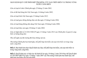 Quyết định 06/2014/QĐ-TTg phối hợp tìm kiếm cứu nạn trên biển vùng nước cảng biển