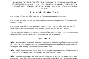 Quyết định 02/2014/QĐ-UBND tuyển chọn trí thức trẻ về công tác xã phường thị trấn Cà Mau