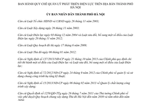 Quyết định 03/2014/QĐ-UBND Quy chế quản lý phát triển điện lực Hà Nội