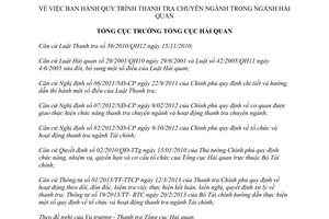 Quyết định 265/QĐ-TCHQ năm 2014 quy trình thanh tra chuyên ngành Hải quan