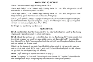 Quyết định 376/QĐ-BTP năm 2014 phối hợp liên ngành giải quyết việc nuôi con nuôi có yếu tố nước ngoài