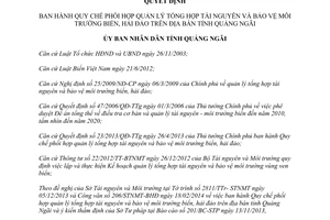 Quyết định 06/2014/QĐ-UBND phối hợp quản lý tài nguyên môi trường biển đảo Quảng Ngãi