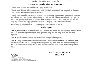 Quyết định 08/2014/QĐ-UBND Khen thưởng Đổi mới nâng cao năng lực Hội đồng nhân dân Thái Nguyên