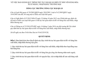 Quyết định 988/QĐ-TCHQ năm 2014 quy trình thủ tục hải quan điện tử hàng hóa XNK thương mại