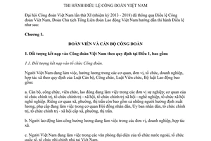 Hướng dẫn 238/HD-TLĐ năm 2014 thi hành Điều lệ Công đoàn Việt Nam