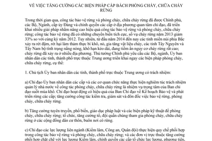 Chỉ thị 04/CT-TTg năm 2014 tăng cường biện pháp cấp bạch phòng chữa cháy rừng