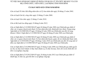 Quyết định 10/2014/QĐ-UBND phân cấp quản lý tổ chức bộ máy cán bộ công viên chức Ninh Bình