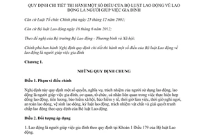 Nghị định 27/2014/NĐ-CP hướng dẫn Bộ luật Lao động về người giúp việc gia đình