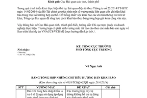 Công văn 4638/TCHQ-GSQL năm 2014 khai báo chỉ tiêu thông tin trên hệ thống VNACCS