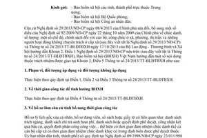 Công văn 1203/BHXH-CSXH năm 2014 hướng dẫn 29/2013/NĐ-CP 24/2013/TT-BLĐTBXH