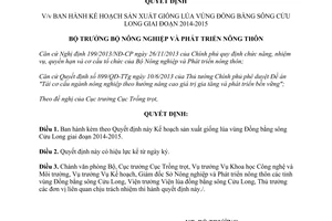 Quyết định 713/QĐ-BNN-TT 2014 Kế hoạch sản xuất giống lúa vùng Đồng bằng sông Cửu Long 2014-2015