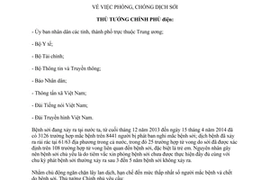 Công điện 477/CĐ-TTg năm 2014 phòng chống dịch sởi Thủ tướng Chính phủ điện