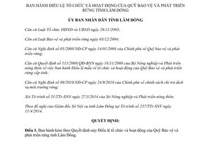 Quyết định 894/QĐ-UBND năm 2014 Điều lệ tổ chức hoạt động Quỹ Bảo vệ phát triển rừng Lâm Đồng