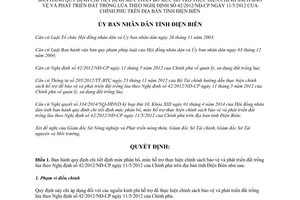 Quyết định 11/2014/QĐ-UBND định mức phân bổ bảo vệ phát triển đất trồng lúa 42/2012/NĐ-CP Điện Biên