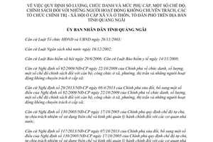 Quyết định 26/2014/QĐ-UBND chức danh phụ cấp người hoạt động không chuyên trách Quảng Ngãi