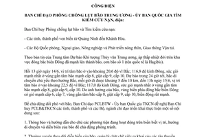 Công điện 04/CĐ-TW 2014 đối phó bão Hagibis Ban Chỉ đạo Phòng chống lụt bão Trung ương