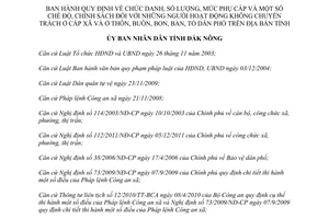 Quyết định 11/2014/QĐ-UBND chức danh phụ cấp chính sách hoạt động không chuyên trách Đắk Nông 2015