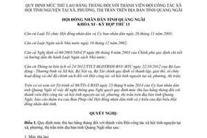 Nghị quyết 22/2014/NQ-HĐND mức thù lao hằng tháng Đội công tác xã hội tình nguyện Quảng Ngãi