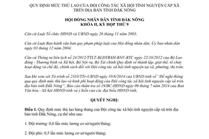 Nghị quyết 17/2014/NQ-HĐND mức thù lao Đội công tác xã hội tình nguyện cấp xã Đắk Nông