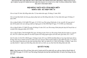 Nghị quyết 343/2014/NQ-HĐND hỗ trợ phát triển sản xuất tại 2621/QĐ-TTg Điện Biên