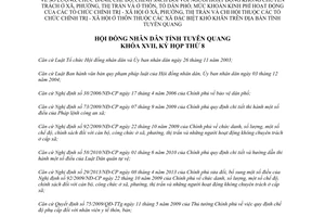 Nghị quyết 11/2014/NQ-HĐND chính sách người hoạt động không chuyên trách Tuyên Quang