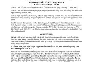 Nghị quyết 338/2014/NQ-HĐND nhiệm vụ giải pháp chủ yếu thúc đẩy phát triển kinh tế xã hội Điện Biên