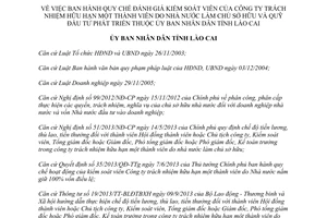 Quyết định 29/2014/QĐ-UBND Quy chế đánh giá Kiểm soát viên Công ty Nhà nước làm chủ sở hữu Lào Cai
