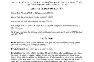 Quyết định 2098/QĐ-UBND 2014 tuyên truyền pháp luật bảo vệ rừng phòng chữa cháy rừng Đắk Lắk