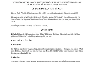 Quyết định 958/QĐ-UBND Phát triển thể thao thành tích cao Hà Nam 2014