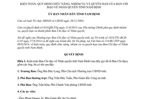 Quyết định 18/2014/QĐ-UBND chức năng nhiệm vụ quyền hạn Ban Chỉ đạo Nhân quyền Nam Định