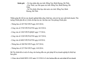 Công văn 12491/BTC-CST 2014 giải pháp hỗ trợ tháo gỡ khó khăn đối với các doanh nghiệp bị thiệt hại