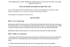 Quyết định 1010/QĐ-BHXH năm 2014 chức năng nhiệm vụ quyền hạn tổ chức Ban Hợp tác quốc tế