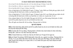 Quyết định 34/2014/QĐ-UBND chính sách hỗ trợ phẫu thuật tim cho trẻ em bị bệnh tim bẩm sinh Đà Nẵng