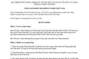 Quyết định 1013/QĐ-BHXH năm 2014 chức năng nhiệm vụ quyền hạn tổ chức Ban Thi đua Khen thưởng