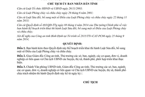 Quyết định 3282/QĐ-UBND năm 2014 triển khai thi hành Luật Phòng cháy chữa cháy sửa đổi Bình Định
