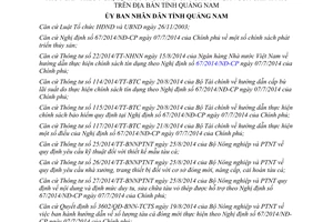 Quyết định 2999/QĐ-UBND năm 2014 chính sách phát triển thủy sản theo 67/2013/NĐ-CP Quảng Nam