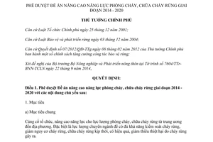 Quyết định 1938/QĐ-TTg 2014 nâng cao năng lực phòng cháy chữa cháy rừng 2014 2020