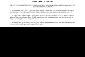 Hướng dẫn 2846/HDLN-BHXH-SLĐTBXH 2014 dữ liệu đối tượng ngân sách bảo hiểm y tế Nghệ An